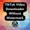 TikTok Video Downloader Without Watermark(1)